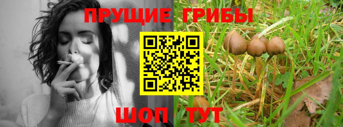 Галлюциногенные грибы мицелий  Вход с VPN  Богородицк 